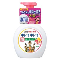 Lion Kirei Kirei Anti Bacterial Foaming Handwash 500ml  (Fruit Mix)  混合果香