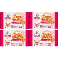 Kobayashi Kiribai Mother of Life Warmer Patches for Relief of Lady's Period Pain 4Packs 40pcs
