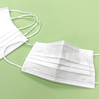 Japan Fitty Face Masks for Adults 50pcs  (光触媒マスク)
